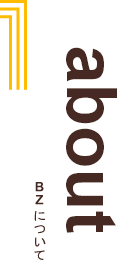 1 about BZについて